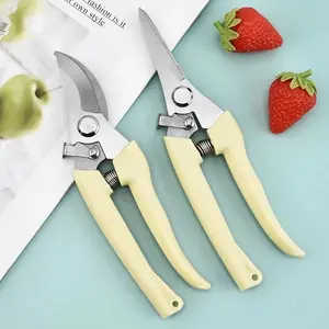 Gunting Dahan Ranting Bunga Tanaman Gunting Alat Berkebun Pruning