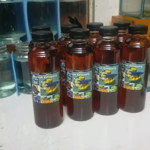 Ekstrak ketapang cair 250ML