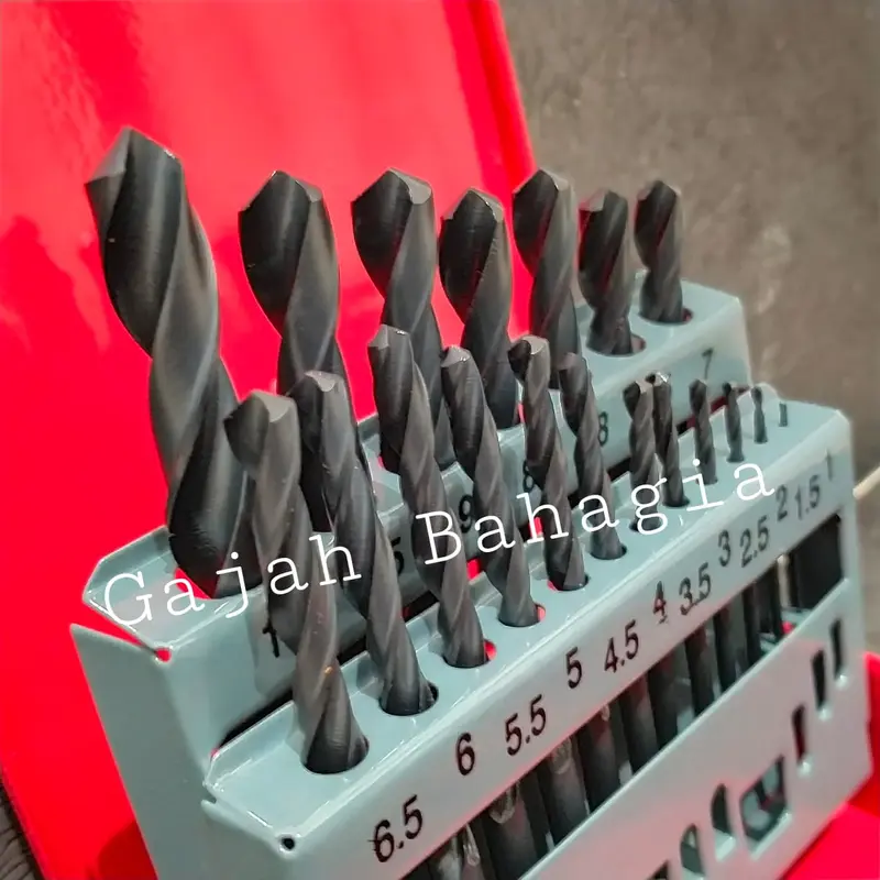 Mata Bor Besi Set 19 pcs HSS 1mm - 10mm 1