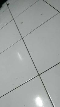 Product Review of Kuromi Playful Color Liptint Gloss Lipstick Long Lasting Waterproof -  XX274 from y**r 0