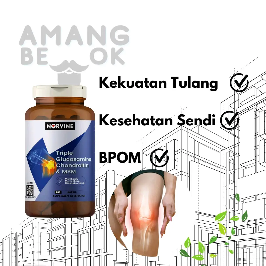 Norvine Glucosamine Chondroitin MSM