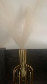 Product Review of 1 Set of Creative Gold Wrought Iron Metal Vase Hydroponic Container Test  Nordic Style Vase Living Room Illustration Decoration from _**_ 0