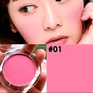 BLUSH ON LONG STAY MATTE  HIGHLIGHTER + KUAS 30////40