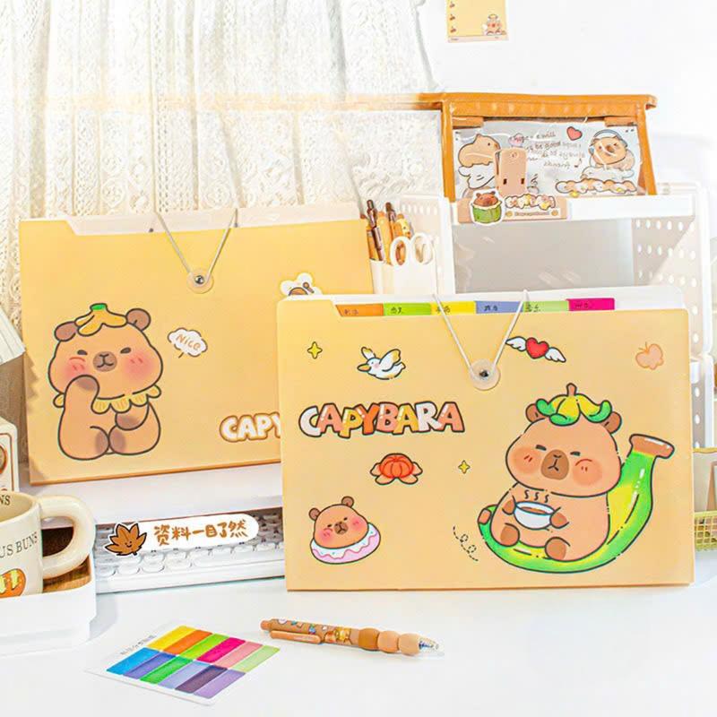  File đựng tài liệu bìa kẹp tài liệu nhiều ngăn khổ A4 - túi đựng tài liệu 5 8 12 ngăn 