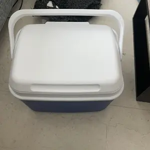 Cooler Box Outdoor 6L 10L 16L 26L Cool Box Makanan Kotak Penyimpanan Antartica Penyimpan Es Kotak Beku Tetap Segar Wadah