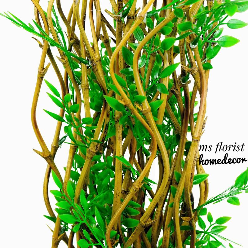 10 Btg Bambu Ulir Cendani Daun Cordelia 142 cm Tanpa Pot - Dekorasi Shabby Warna Natural 2