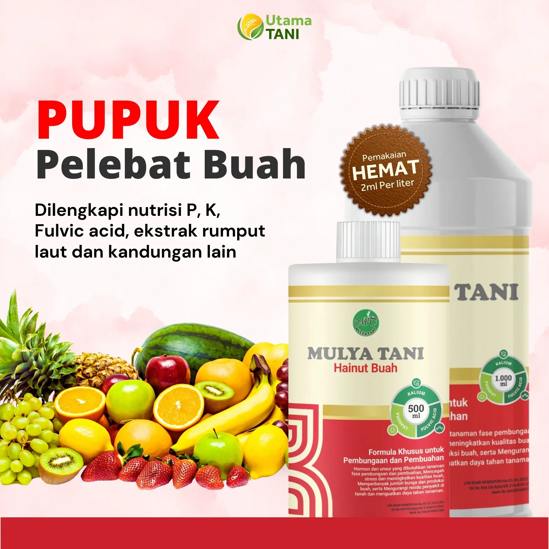 Hainut Buah Pupuk Pelebat Bunga dan Buah Segala Tanaman Organik