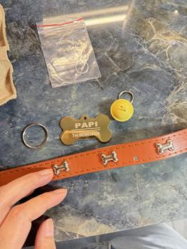 Product Review of Free Engrave Pet Dog Collar Dog Tags Cat collar Pet ID Collars stainless steel cat tag customized tag Pet Accessories YP6/YP9 from I** T**i F**n B** ** B**o 0