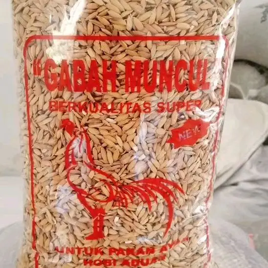 Padi/Gabah Muncul Kemasan 1kg Pakan Ayam Bangkok Hobi Aduan Berkualitas Super