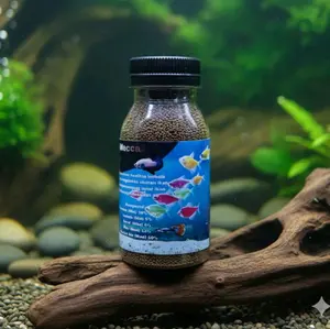 Makanan Ikan jenis tetra, Guppy, cupang dan ikan kecil hiyas aquarium