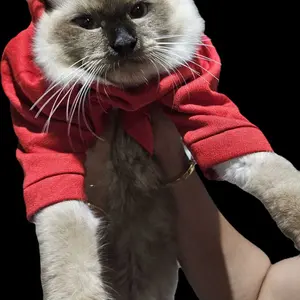 baju kucing anjing kelinci monyet lucu murah - ONEPIECE HOODIE SERIES