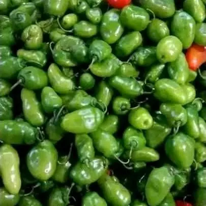 CABE GEMDOT - Sayuran Segar untuk Masakan Anda - Kecombrang, Potato 1