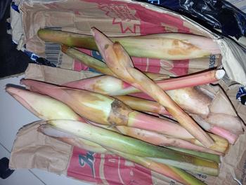 Product Review of Kecombrang bumbu masak 1kg yang kami kirim kecombrang utuh from 🥰**a v**🥰 1