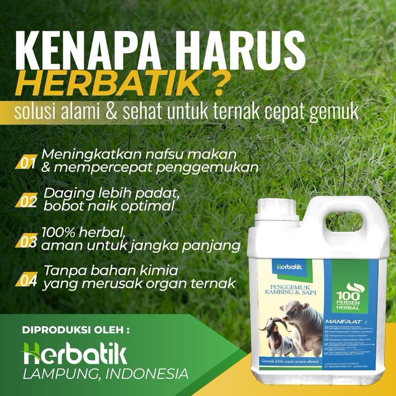 Herbatik Pengemuk Sapi & Kambing - Bobot Naik Cepat, 100% Herbal Alami, Tanpa Efek Samping! 2