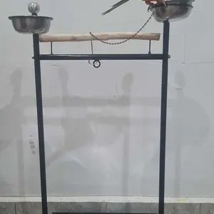 tangkringan burung beo kk tua parot