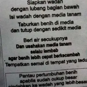 review image 7
