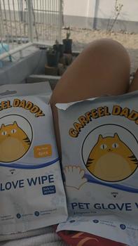 Product Review of Garfeel Daddy Pet Grooming Glove Wipes, Easy and Quick Cleaning and Deodorizing For All Pets dog cat from A**e P**a 2