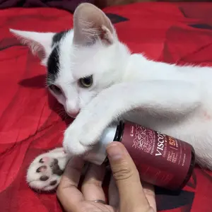 Olive Care Minyak Ikan Kucing VISCO3 & SALMONIC Murni dan Alami Non-GMO Tinggi Omega 3 EPA DHA dan Omega 6 Fish Oil untuk Kesehatan Kulit dan Bulu, Daya Tahan Tubuh, Kesehatan Jantung, Mengatasi Bulu Rontok, Dermatitis dan Anti Inflamasi