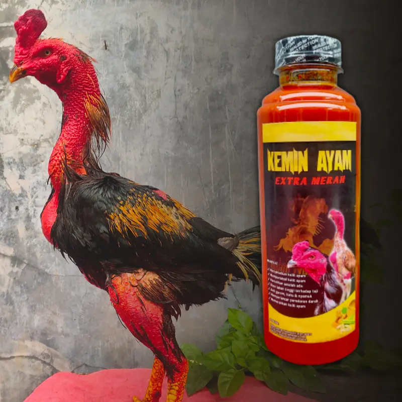 KEMIN BADAN BN  EXTRA MERAH - Agar Kulit Ayam Tebal dan Merah Merona - BN kaki 4