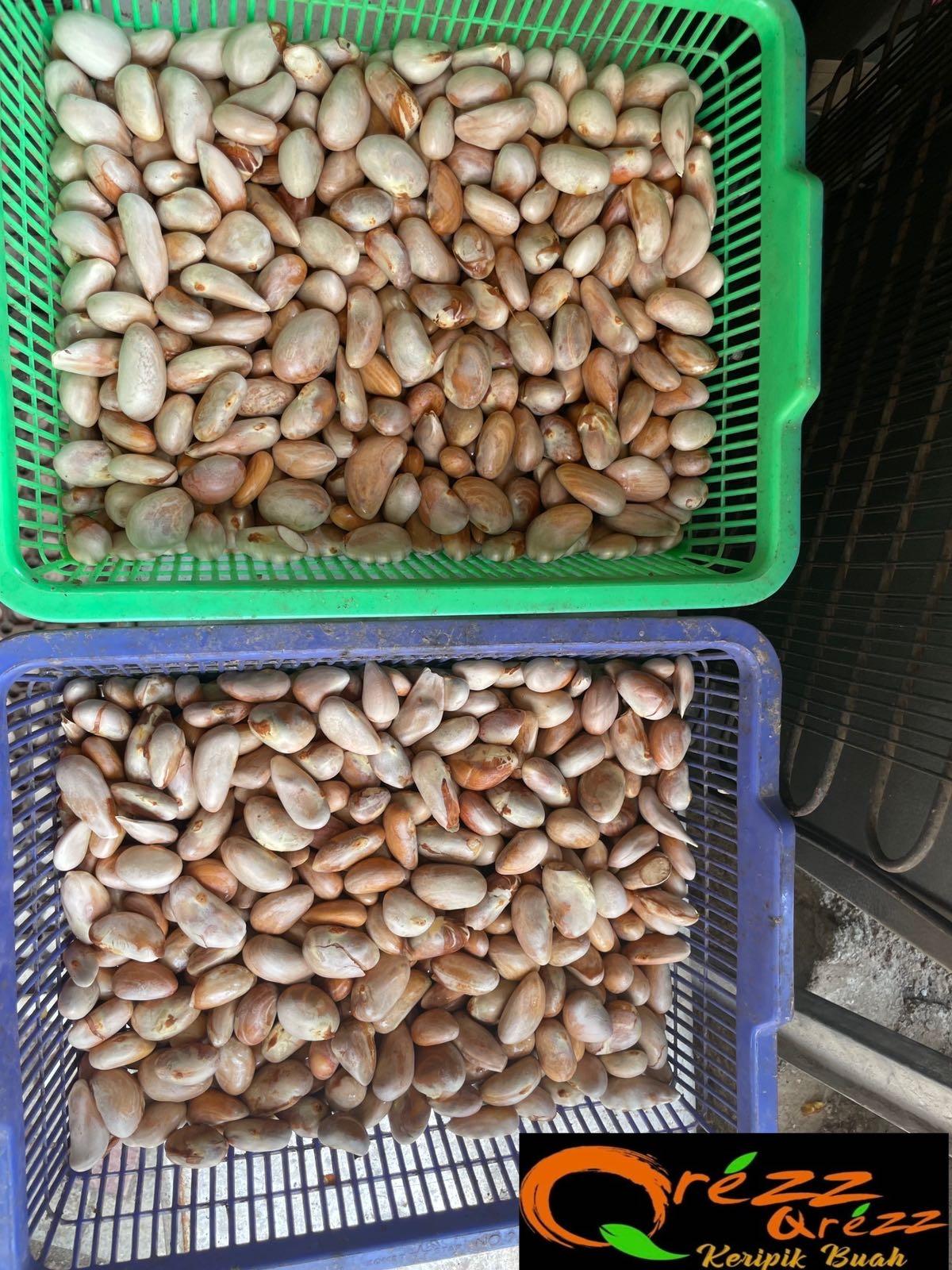 BIJI NANGKA/BETON NANGKA 1 KG