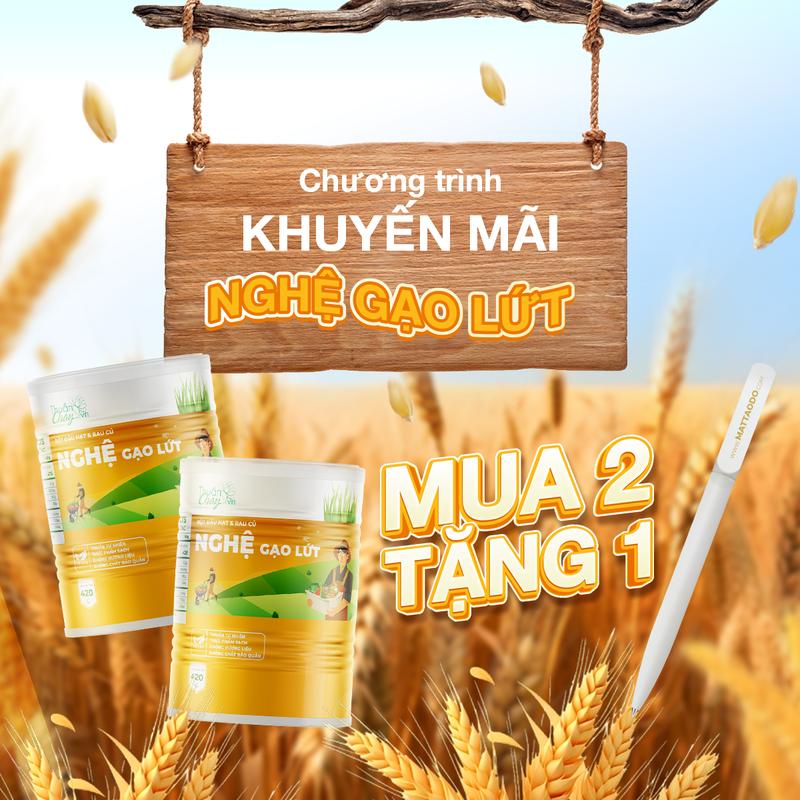 dvnguyenbao Combo 2 Sản Phẩm Tặng 1 BÚT BỘT NGHỆ GẠO LỨT 420g
