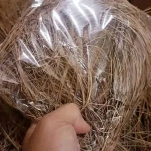 Daun pinus kering untuk sarang burung 1 plastik 200gram