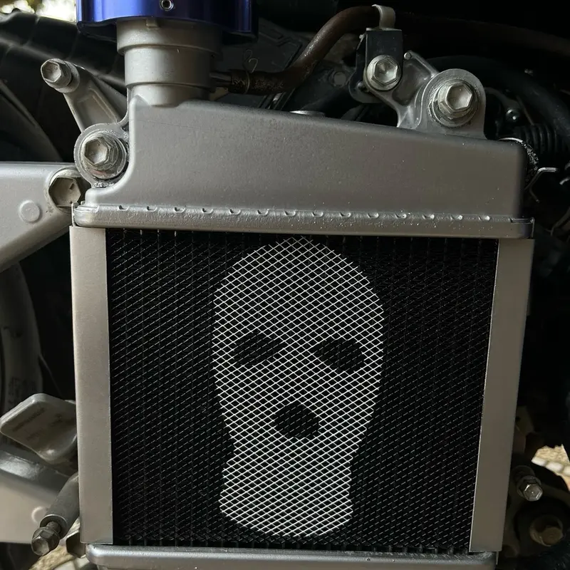 jaring radiator ala ala racing (SEMUA MOTOR) 3