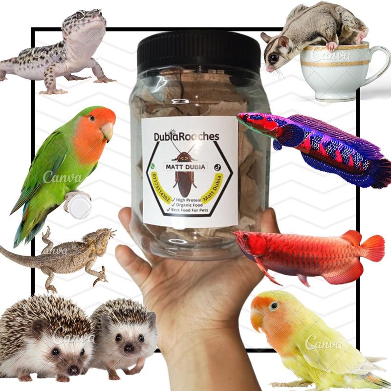 SARSUR DUBYA QUALITY PREMIUM - TikTok Shop Malaysia