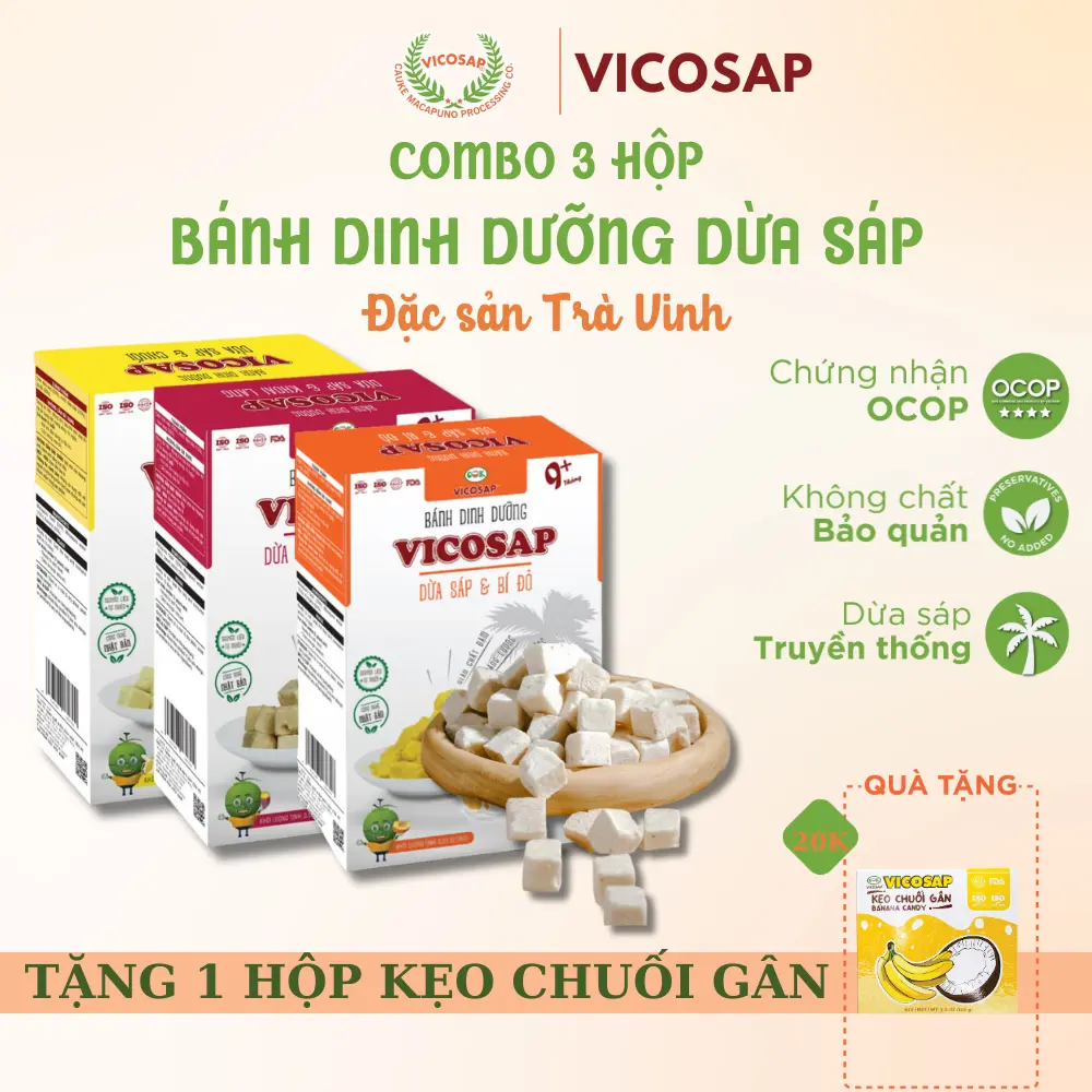 Combo 3 hộp Bánh dinh dưỡng VICOSAP làm từ dừa sáp bí đỏ khoai lang chuối không chiên qua dầu ăn vặt healthy cho bé ăn được Snack Food