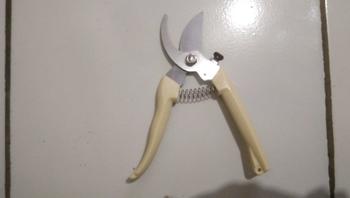 Product Review of COSY Gunting Dahan Ranting Pohon Pruning Alat Potongg Dahan Ranting Rating Pohon Gunting Tanaman Tajam Super from F**n 1
