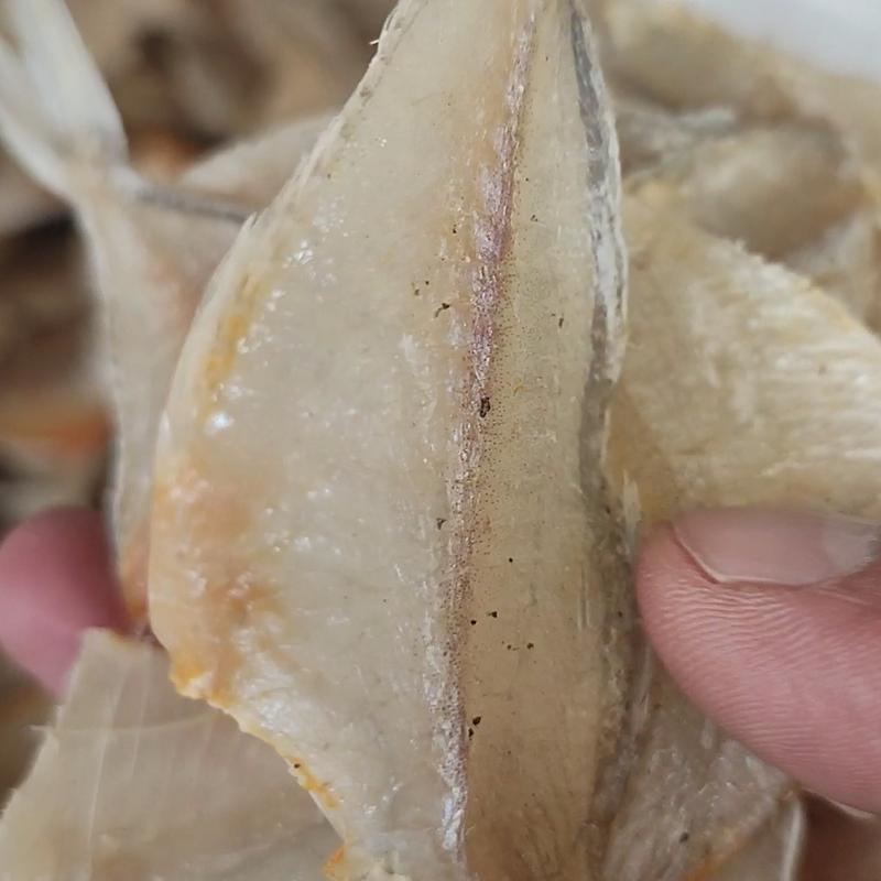 ikan asin kapasan / asin kerupuk (semi asin) kering 3