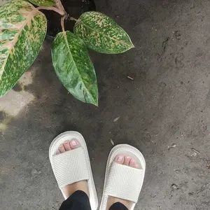 Sandal Slip On Wanita Dewasa Sandal Selop Wanita Model Terbaru Kekinian Sendal Shoes Karet