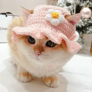 Topi Kucing Rajut Dewasa Kitten Kelinci Bucket Hat Karakter Anjing
