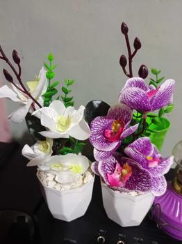 Product Review of Bunga Anggrek + Pot Bunga Hias Bunga Dekorasi from B** g**u R**a 0