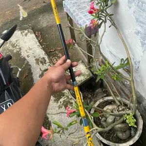 Oregon naga hitam 450 set kolong