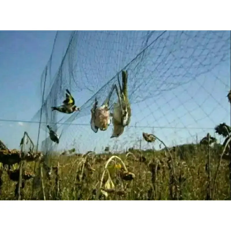 jaring burung kecil/jaring burung/jaring murah/jaring tinggal pasang