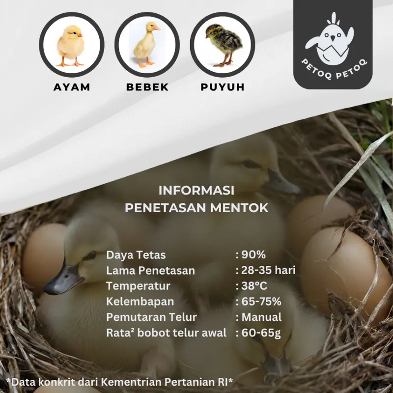 Mesin Penetas Telur Semi Otomatis Digital Kapasitas 16 Telur Petoq Petoq PTQ-16 Inkubator Telur Egg Incubator 5