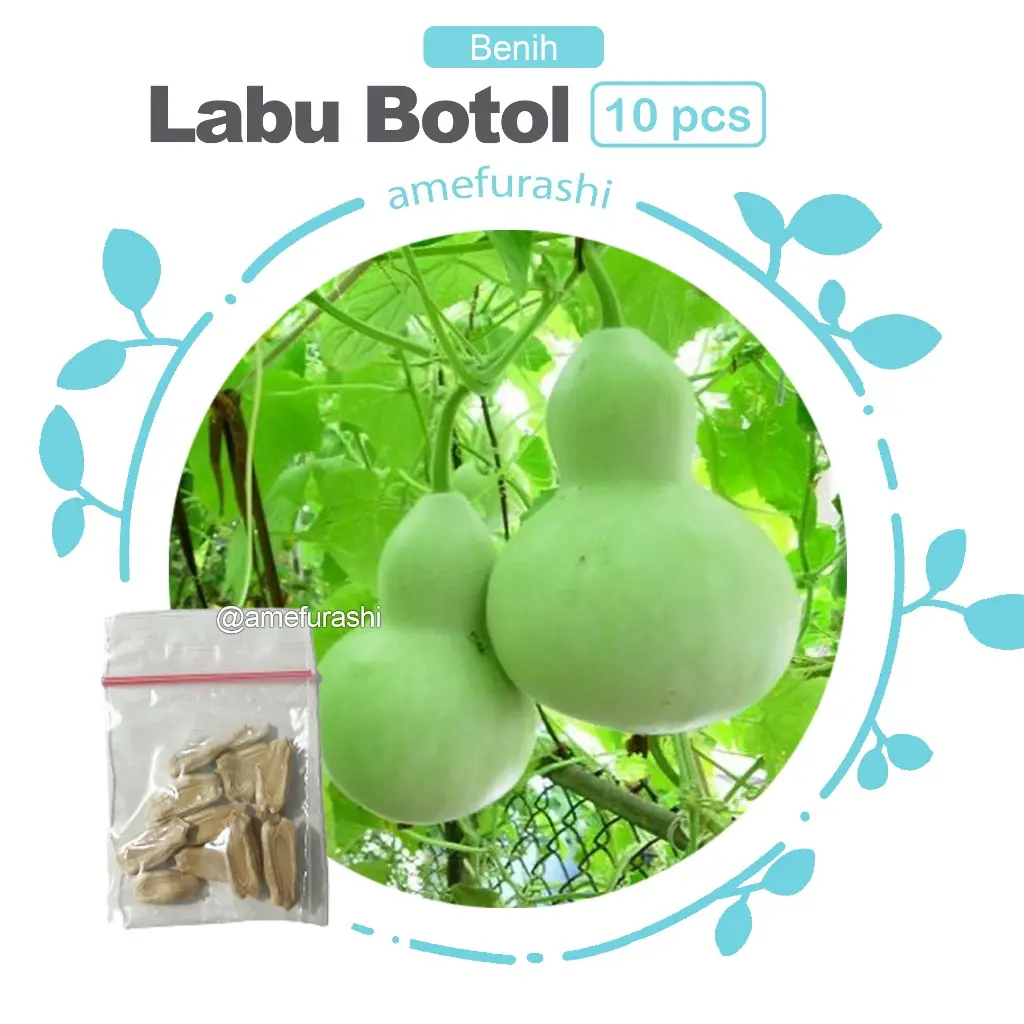 Labu Botol 10 Biji