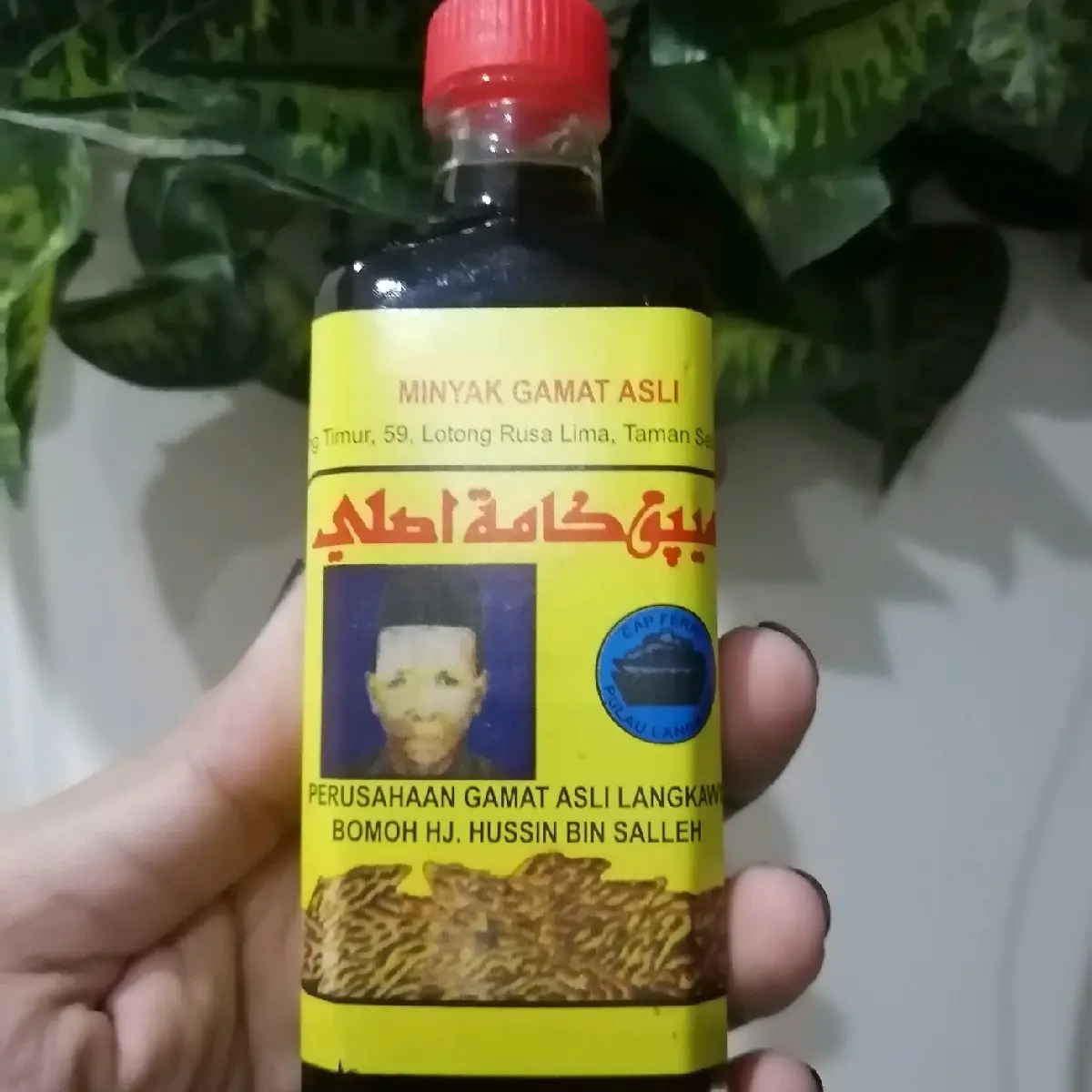 Minyak Gamat Asli Haji Husin