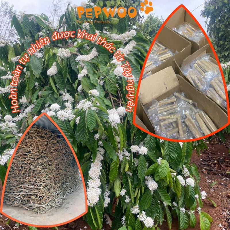 Thanh Xương Chó Gặm Gỗ Cafe Size L PEPWOO 100% Tự Nhiên | MADE IN VIETNAM 5