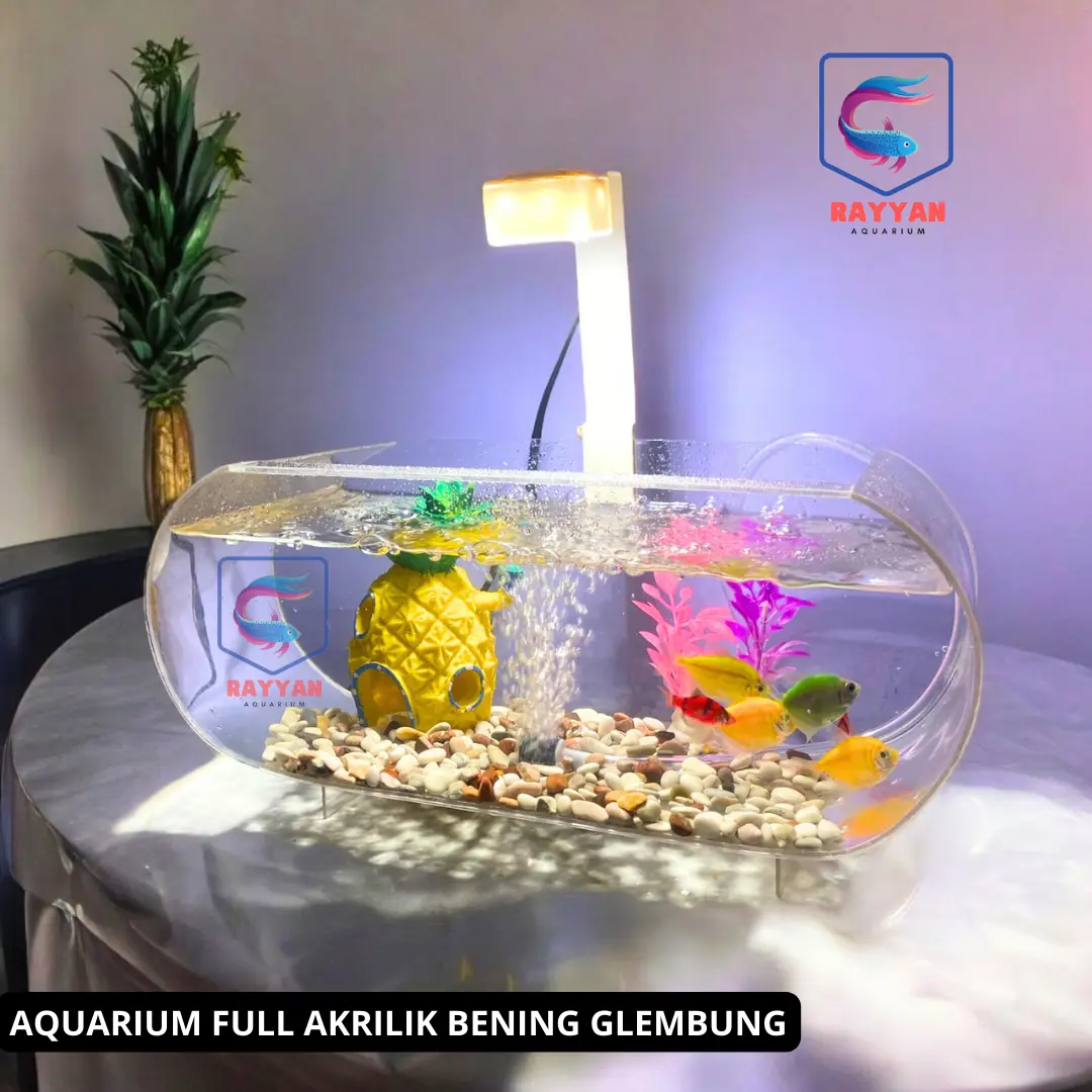 Promo !! 1 Set lengkap Aquarium mini transfaran plus mesin oxygn glembung dan lampu LED 3 Watt (M0T)