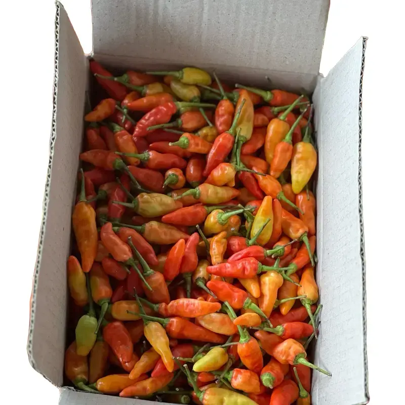Cabe Rawit Kemasan 1kg Pedas 0