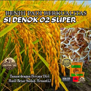 Kemasan 1KG Benih Padi Si Denok 02 Super Unggul Berkualitas Anak Padi Lebih Banyak Kuat Hasil Beras Lebih Banyak Tahan Hama Gabah Kuning Mengkilat