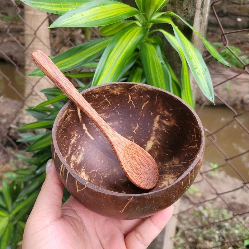  Chén gáo dừa  kèm muỗng gỗ dừa   size 12-13cm 