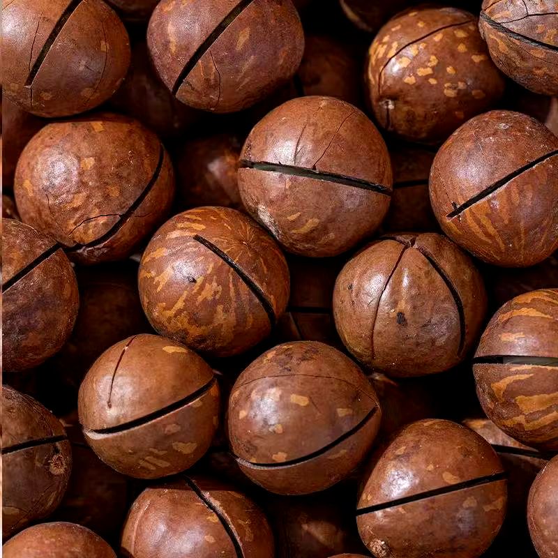 GuoYunGe Kacang Macadamia Roasted Panggang 250g Halal Snack Kacang Hawai Terbaik