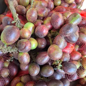 matoa fres baru petik 2kg