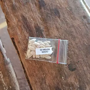 30 butir biji benih tanaman buah melon madu(kemasan repack plastik klip)