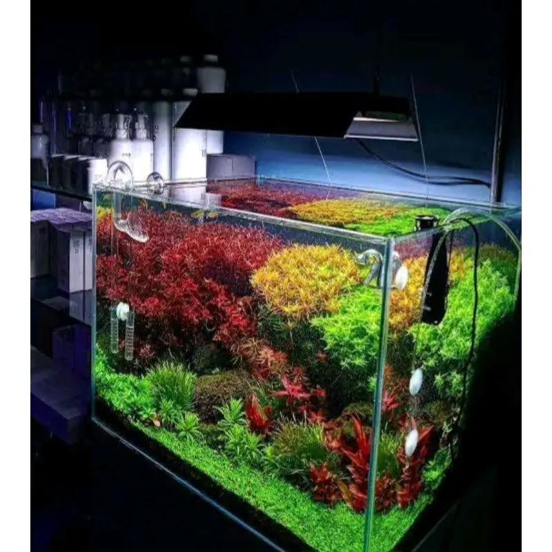 paket low aquascape tanpa co2 1
