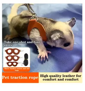 Small Pets Chest Strap Hamster Squirrel Leash Anti Bite Traction Rope Sugar Glider Windproof Special Anti Lost Rope