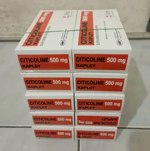 Suplemen Citicoline 500 mg Box Dewasa